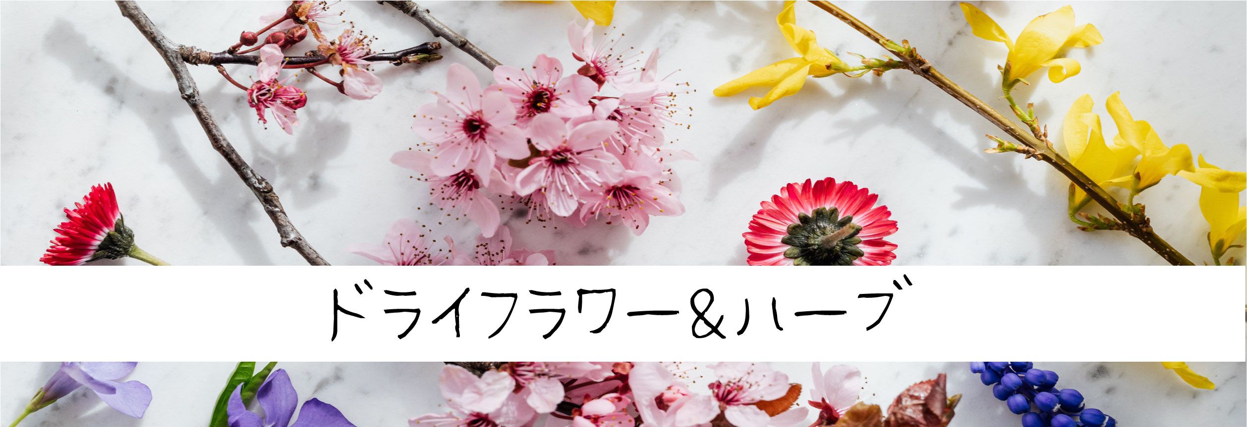 カラーセラピー効果を取り入れたドロップ型アロマワックスサシェ専門店 Aromairo アロマイロ